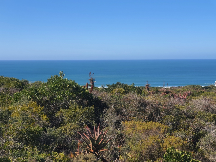 0 Bedroom Property for Sale in Boggomsbaai Western Cape